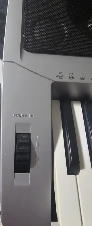 Tastiere elettroniche 61 tasti