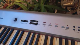 Piano Electrónico Ringway con Soporte PDP 220