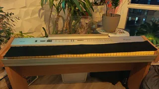 Piano Electrónico Ringway con Soporte PDP 220