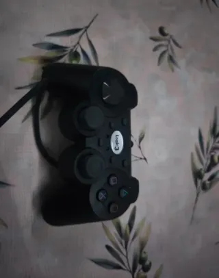 Lote PS2 y PS3 Sony Negro