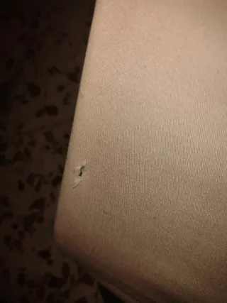 2 Hamacas para bebés