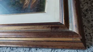 Quadro con uva olio su tela