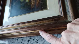 Quadro con uva olio su tela