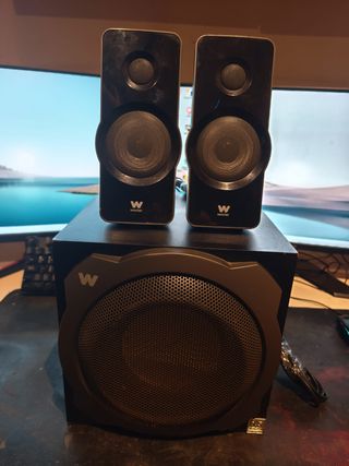 Equipo de Sonido WOXTER Negro/Gris