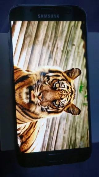 Smartphone Samsung S7 + Kit de accesorios