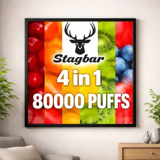 Cuadro Stagbar 4 en 1 80000 Puffs