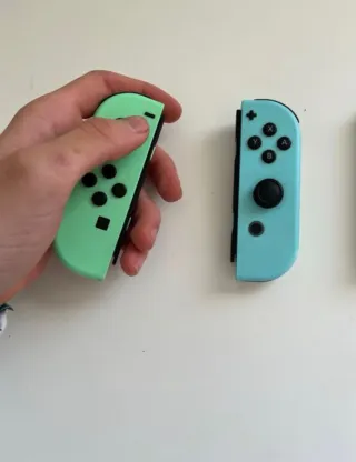 Nintendo Switch Ed. Animal Crossing