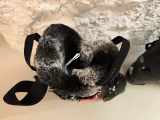 Botas de esquí Wedze mujer T38