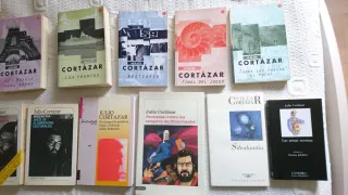 Lote 17 Libros Julio Cortazar