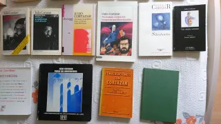 Lote 17 Libros Julio Cortazar