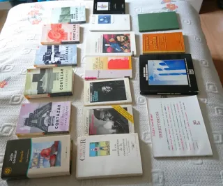 Lote 17 Libros Julio Cortazar