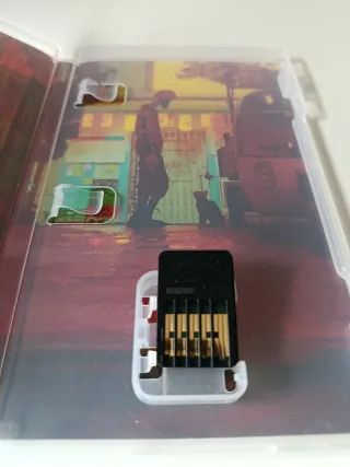 Stray per Nintendo Switch