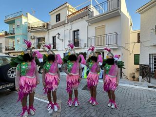 Disfraz Flamenco con Armadura