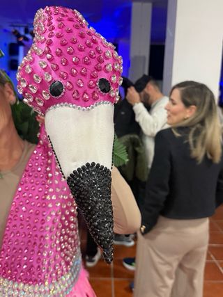 Disfraz Flamenco con Armadura