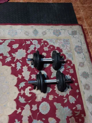 Juego de Pesas Ajustables