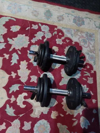 Juego de Pesas Ajustables