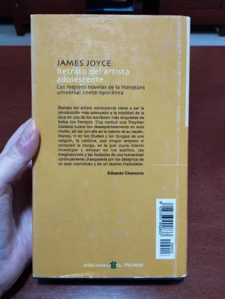 Retrato del artista adolescente