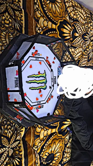 Octágono UFC Echo Amano