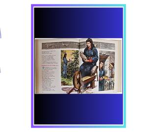 La Bibbia illustrata in 5 volumi rilegati. Fratell