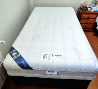 2 Colchónes Plus+Salute 105x190 y 2 canapes