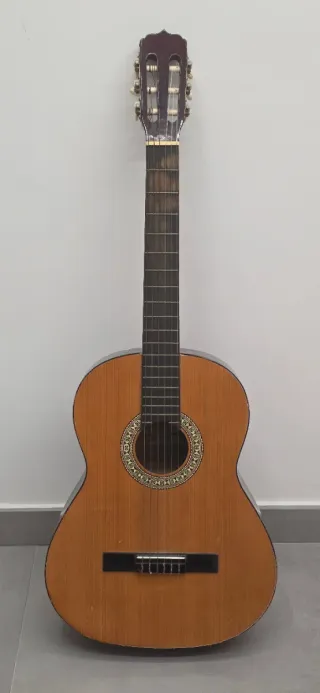 Chitarra classica Clash F-20 funzionante – ideale