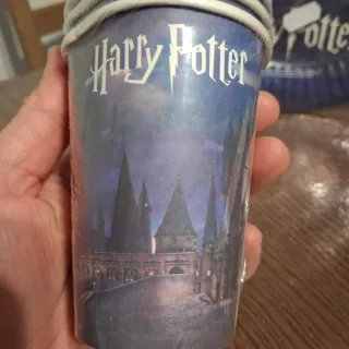 Set Piatti e Bicchieri Harry Potter