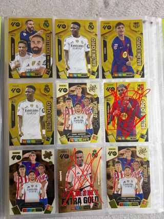 Panini Adrenalyn XL 25-26 Cromos