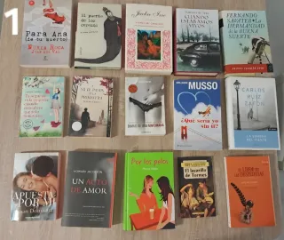 Lote 23 libros