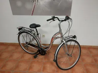 Bicicleta Urbana Esperia Plata