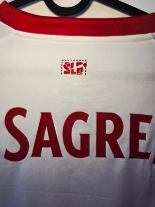 Camiseta Benfica Alternativa 2025/26 - Talla M