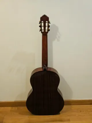Guitarra Vicente Tatay C320.202C