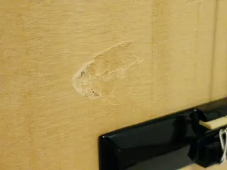 Guitarra Vicente Tatay C320.202C