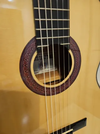 Guitarra Vicente Tatay C320.202C