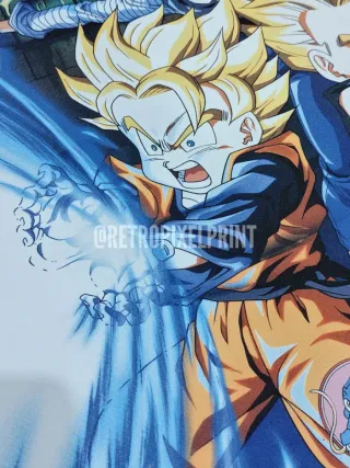 Dragon Ball película 14 Lona 50x70cm
