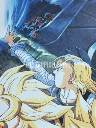 Dragon Ball película 14 Lona 50x70cm