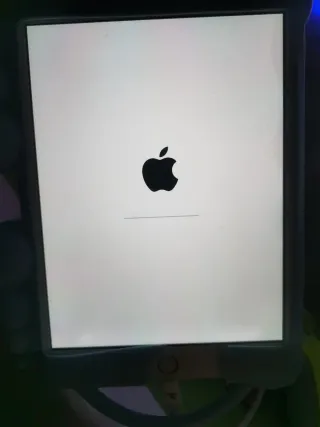 iPad mini 3 Apple