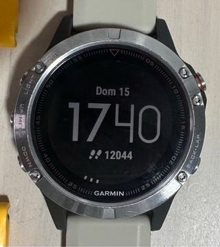 Smartwatch Garmin Fenix 5 Gris/Plata