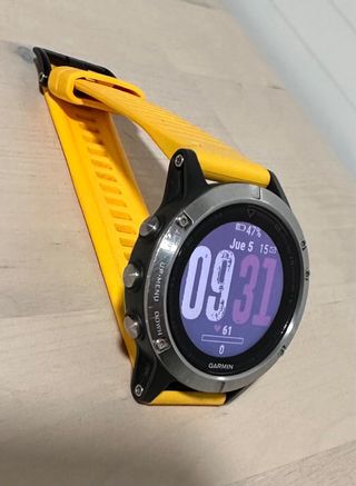 Smartwatch Garmin Fenix 5 Gris/Plata