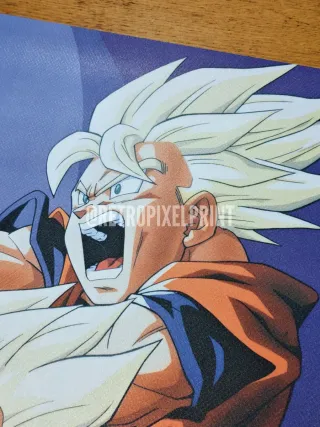 Dragon Ball película 13 Lona 50x70cm