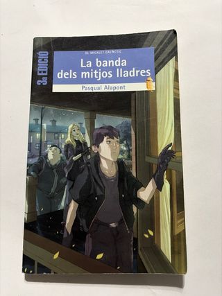 La banda dels mitjos lladres