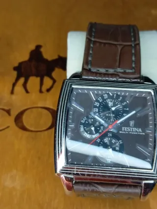 Orologio Festina Multifunzione Marrone Argento