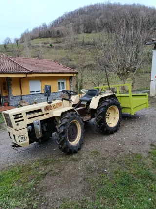 Tractor Pascuali 463e - Motor Lombardini