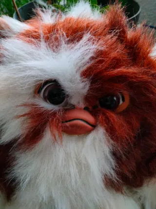 Peluche Gizmo Gremlins