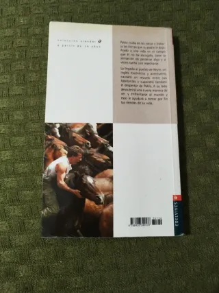 Y montaré caballos salvajes (Alandar) (Spanish ...