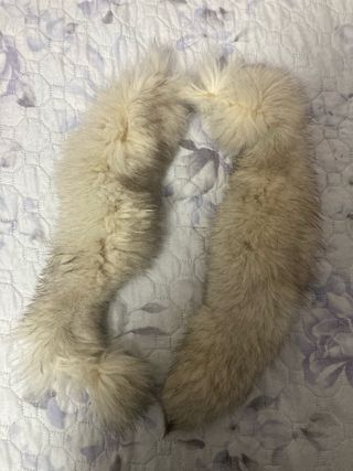 Vera pelliccia di volpe argentata