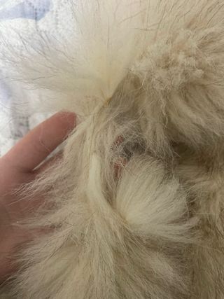 Vera pelliccia di volpe argentata