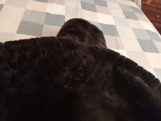 Abrigo de pelo mujer marrón