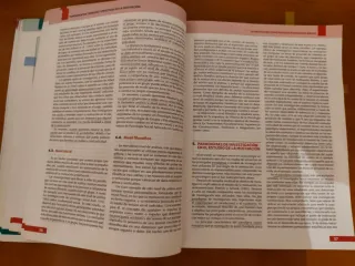Fundamentos Teóricos y Prácticos de la Motivaci...