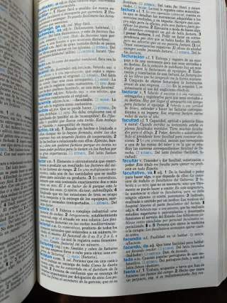 Diccionario Secundaria Y Bachillerato 2002