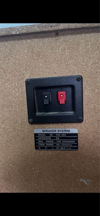 Altavoces GoldStar GSE-380